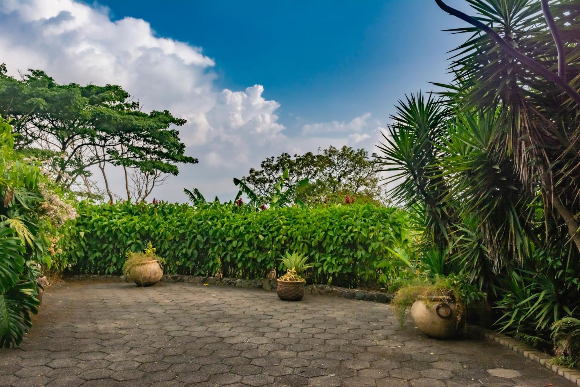Finca Rosa Blanca Coffee Farm And Inn Heredia Kültér fotó